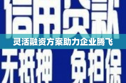中方灵活融资方案助力企业腾飞