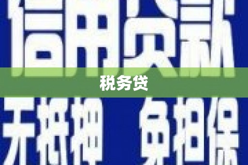 中方税务贷