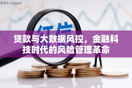 中方贷款与大数据风控，金融科技时代的风险管理革命