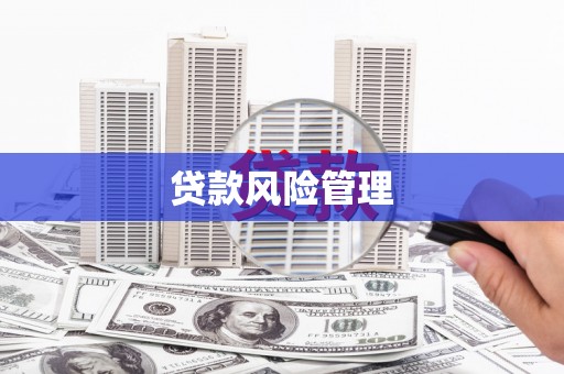 中方贷款风险管理
