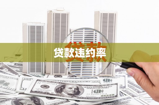 中方贷款违约率