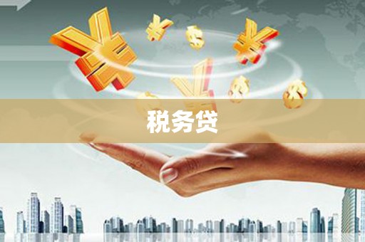 中方税务贷