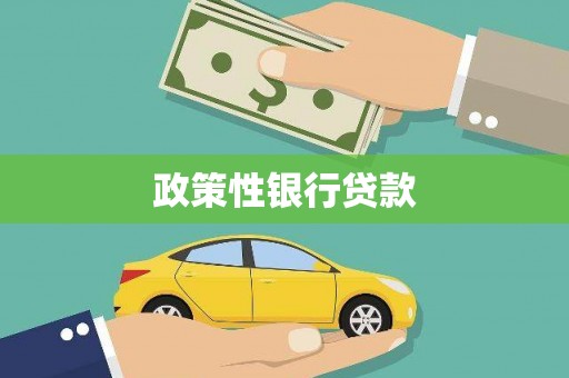 中方政策性银行贷款