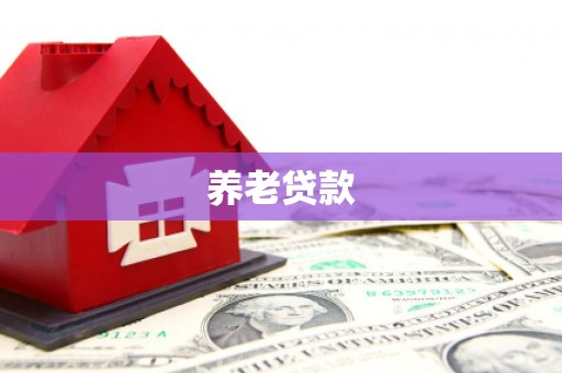 中方养老贷款