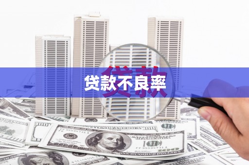 中方贷款不良率