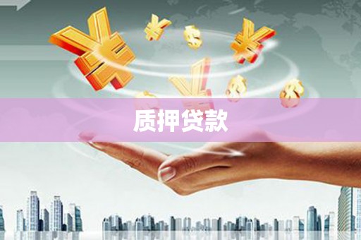 中方质押贷款