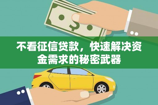 中方不看征信贷款，快速解决资金需求的秘密武器