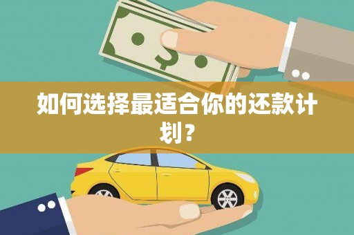 中方如何选择最适合你的还款计划？