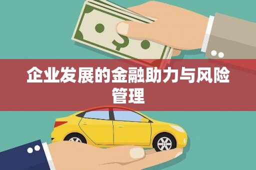中方企业发展的金融助力与风险管理
