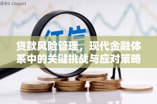 中方贷款风险管理，现代金融体系中的关键挑战与应对策略
