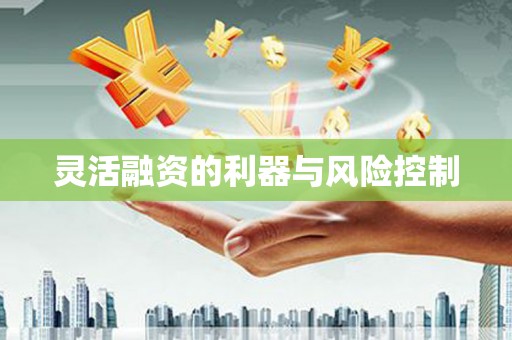 中方灵活融资的利器与风险控制