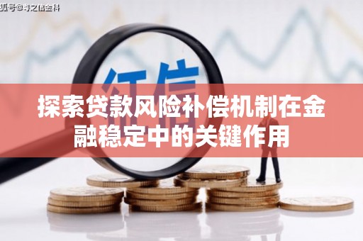 中方探索贷款风险补偿机制在金融稳定中的关键作用