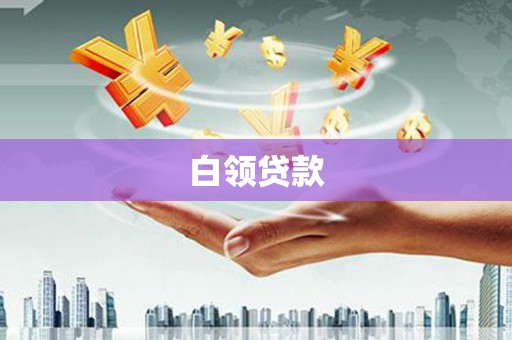 中方白领贷款