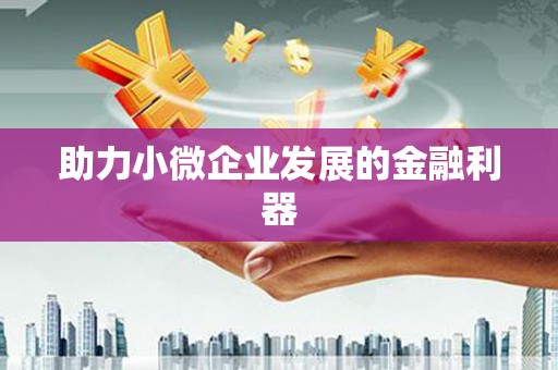 中方助力小微企业发展的金融利器