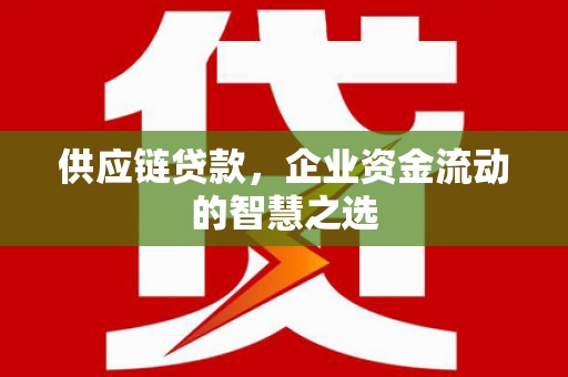 中方供应链贷款，企业资金流动的智慧之选