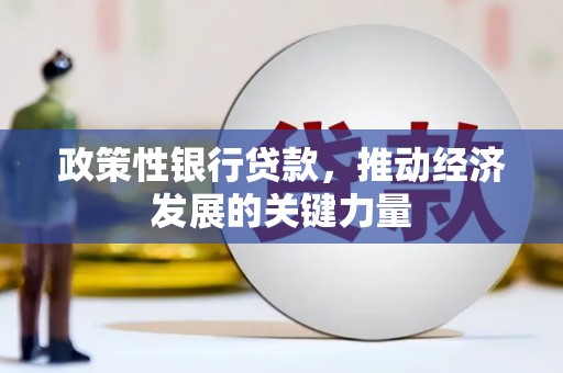 中方政策性银行贷款，推动经济发展的关键力量