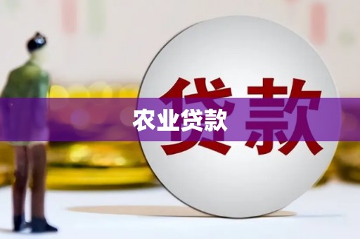 中方农业贷款