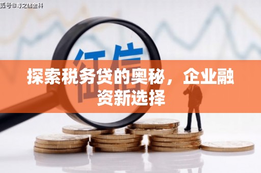 中方探索税务贷的奥秘，企业融资新选择