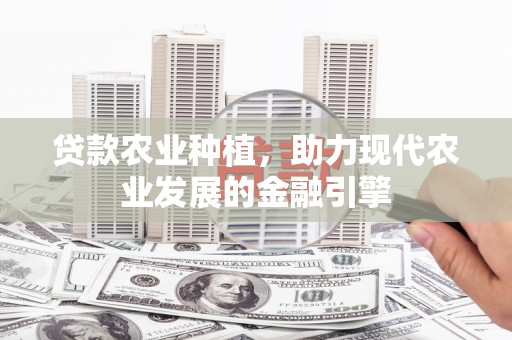 中方贷款农业种植，助力现代农业发展的金融引擎