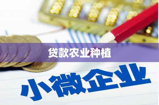 中方贷款农业种植