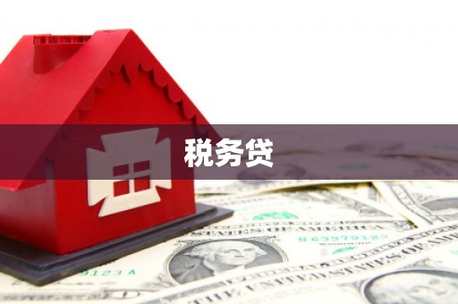 中方税务贷