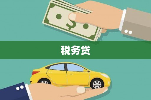 中方税务贷
