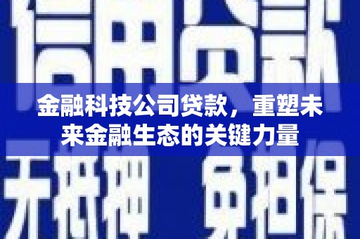 中方金融科技公司贷款，重塑未来金融生态的关键力量