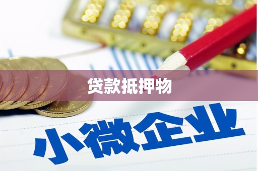 中方贷款抵押物