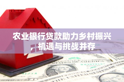 中方农业银行贷款助力乡村振兴，机遇与挑战并存