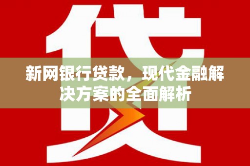 中方新网银行贷款，现代金融解决方案的全面解析