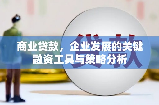 中方商业贷款，企业发展的关键融资工具与策略分析
