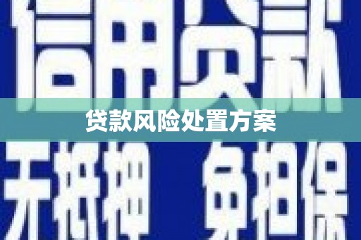 中方贷款风险处置方案