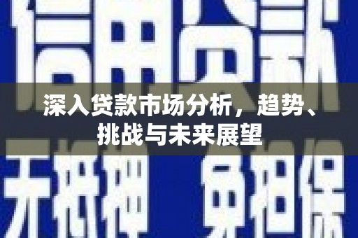 中方深入贷款市场分析，趋势、挑战与未来展望