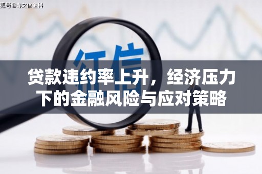 中方贷款违约率上升，经济压力下的金融风险与应对策略