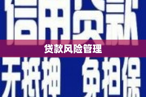 中方贷款风险管理