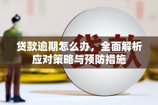 中方贷款逾期怎么办，全面解析应对策略与预防措施