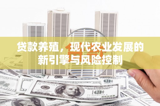 中方贷款养殖，现代农业发展的新引擎与风险控制