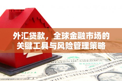 中方外汇贷款，全球金融市场的关键工具与风险管理策略