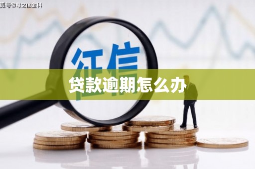 中方贷款逾期怎么办