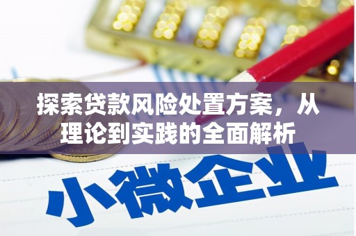 中方探索贷款风险处置方案，从理论到实践的全面解析