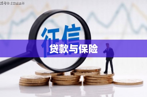 中方贷款与保险
