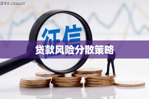 中方贷款风险分散策略