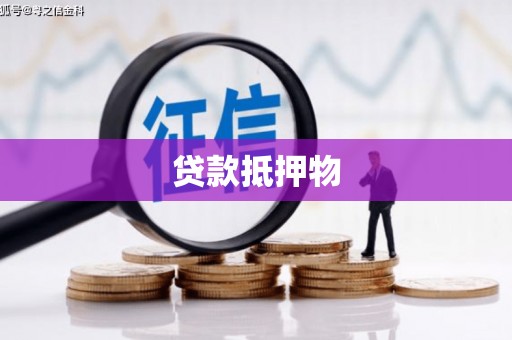 中方贷款抵押物