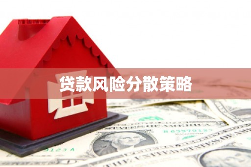 中方贷款风险分散策略