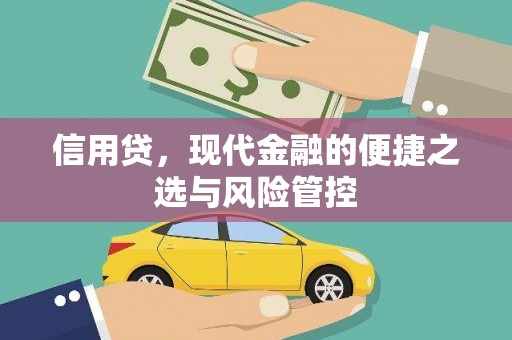 中方信用贷，现代金融的便捷之选与风险管控