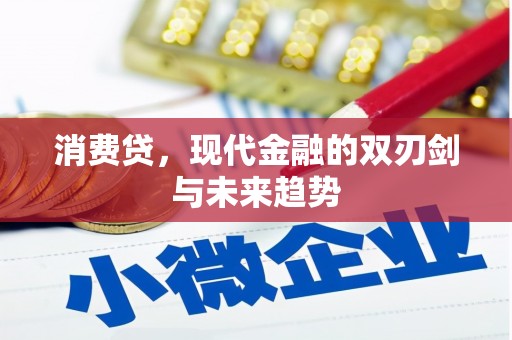 中方消费贷，现代金融的双刃剑与未来趋势