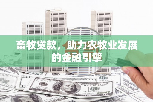 中方畜牧贷款，助力农牧业发展的金融引擎