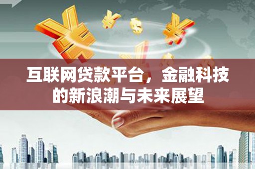 中方互联网贷款平台，金融科技的新浪潮与未来展望
