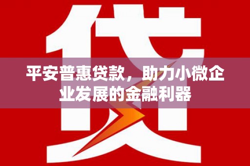 中方平安普惠贷款，助力小微企业发展的金融利器