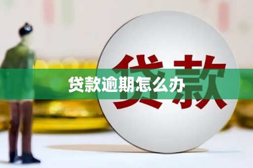 中方贷款逾期怎么办